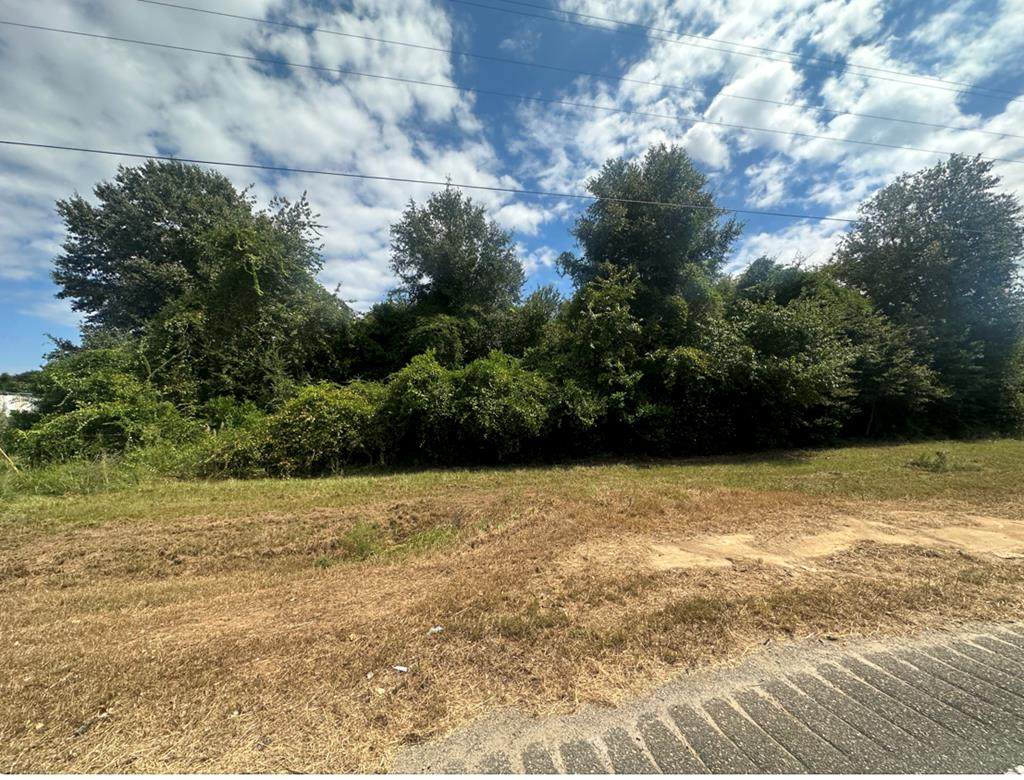 2501 Fleming Road - Photo 1