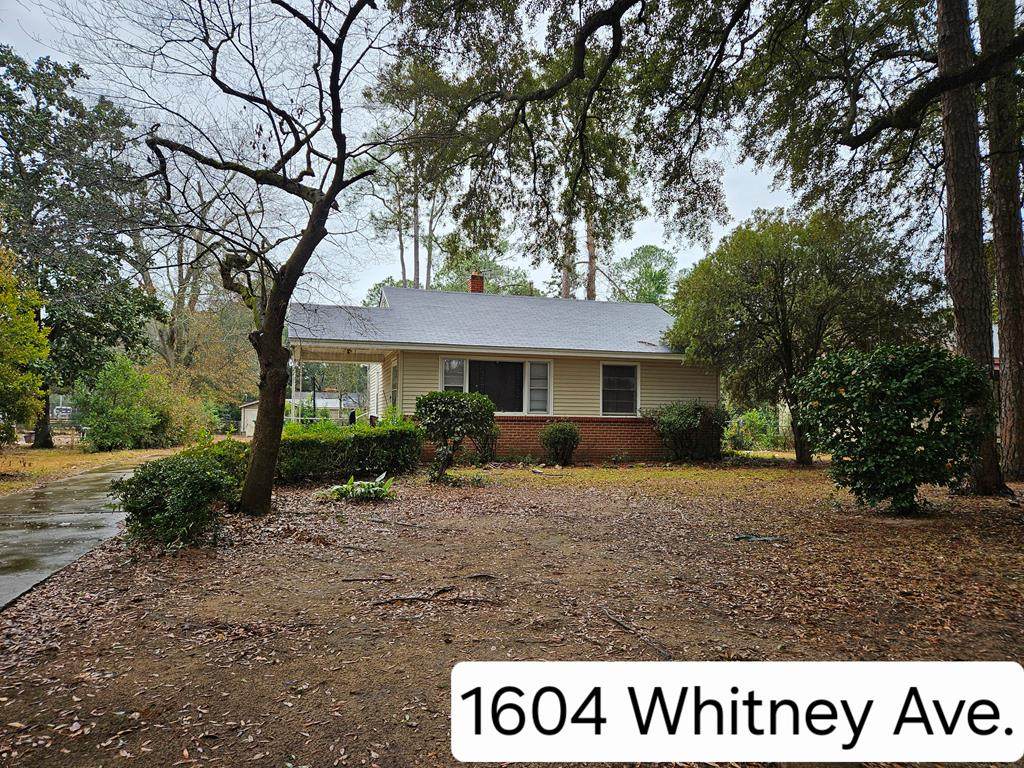 1604 Whitney Avenue - Photo 1