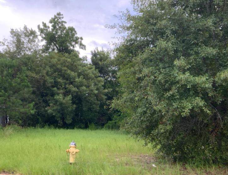 329 Gordon Avenue - Photo 1