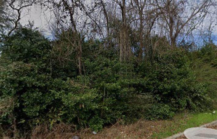 325 Lynn Lane - Photo 1