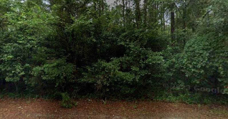 710 Johnny W Williams Road - Photo 1