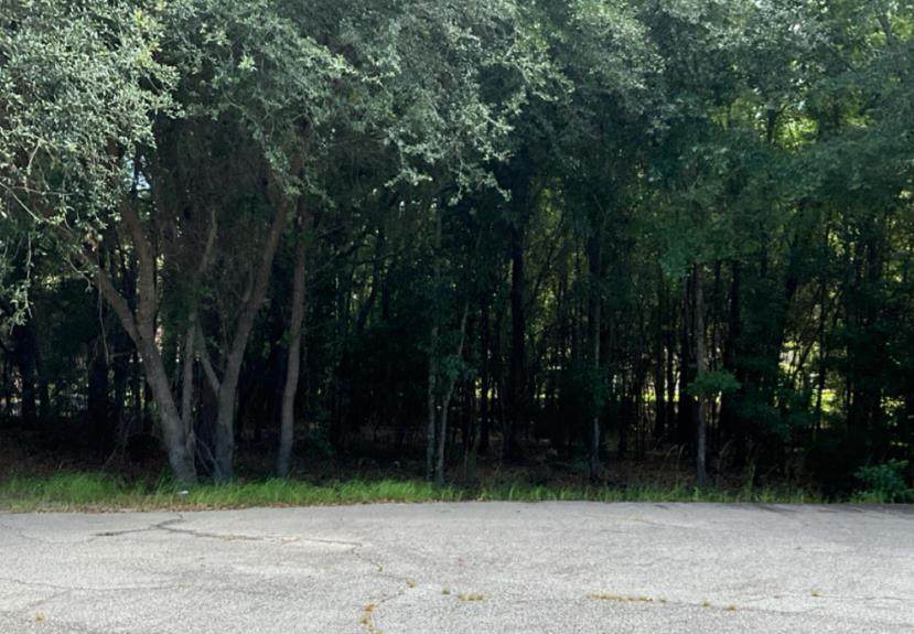 2021 Radium Springs Road - Photo 1