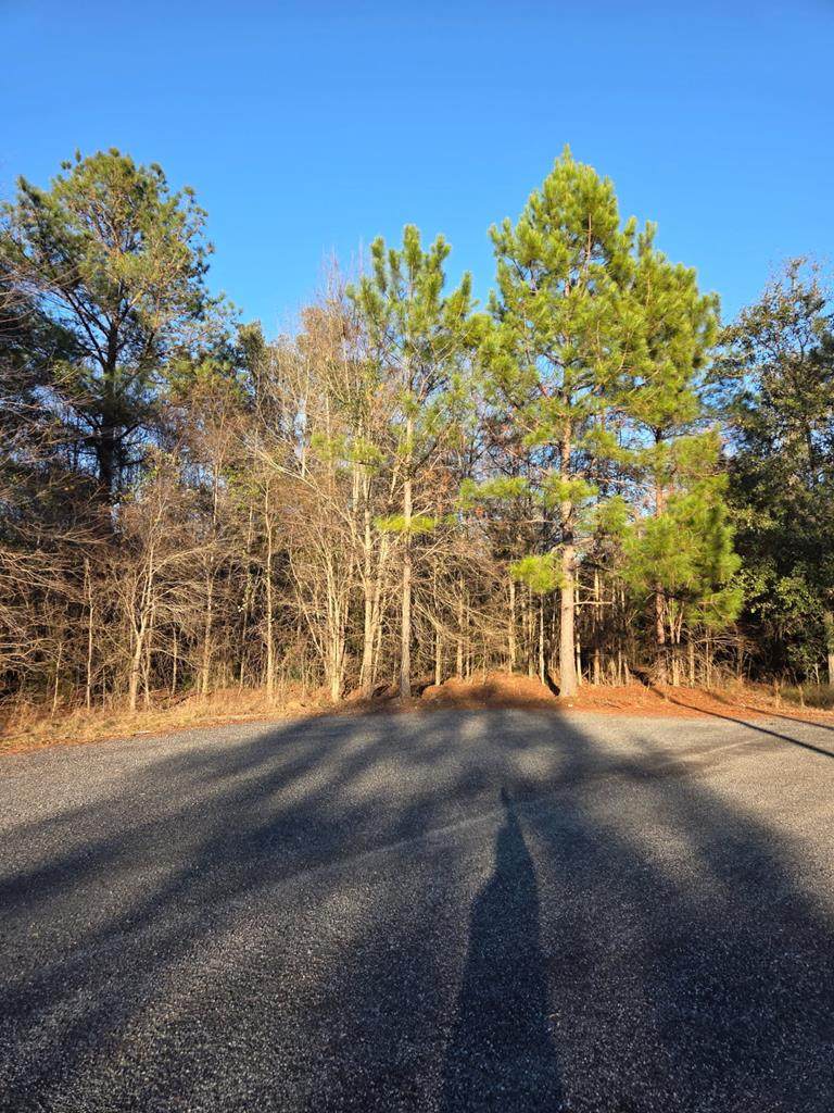 na Pine Trail - Photo 1