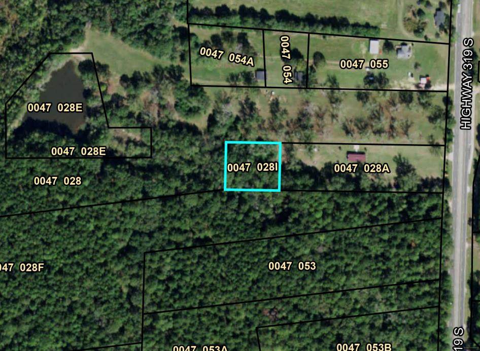 0 Hwy 319 - Photo 1