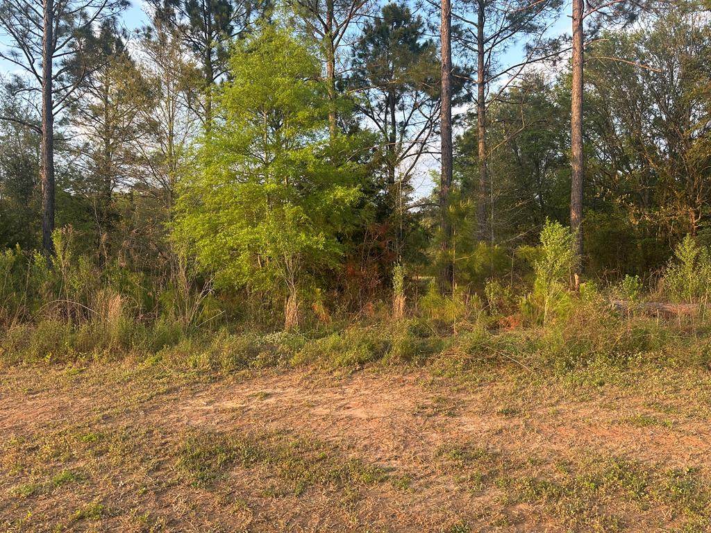 119 Partridge Circle - Photo 1