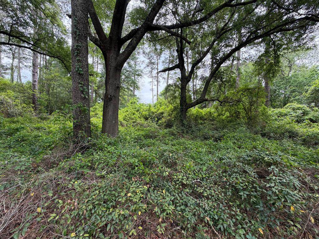 610 Bobbit Drive - Photo 1