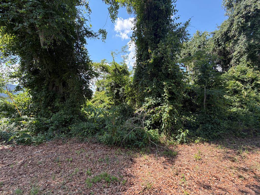 5003 Oak Hill Drive - Photo 1