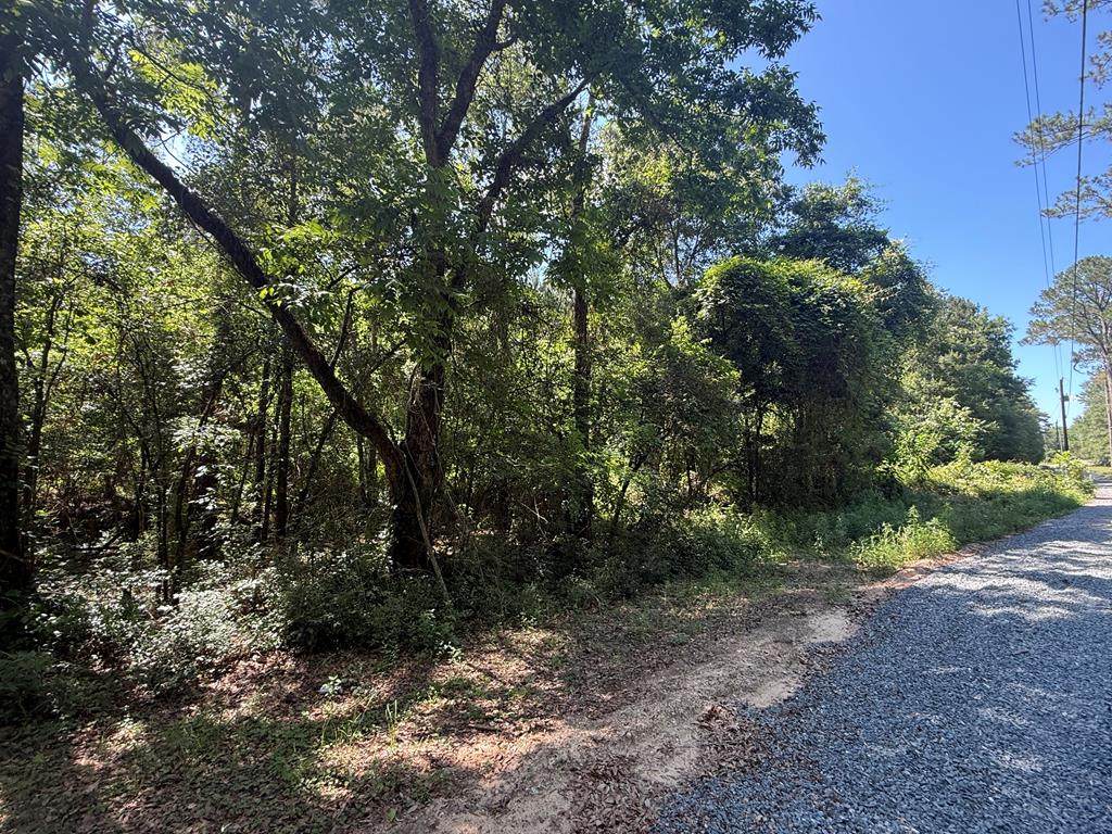 000 Appian Way - Photo 1