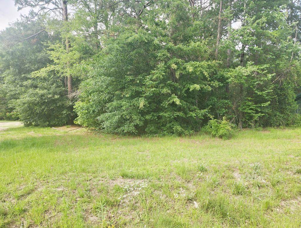 164 Park Place - Photo 1