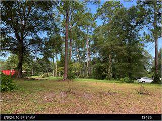 744 Willie Pitts Jr Rd - Photo 1