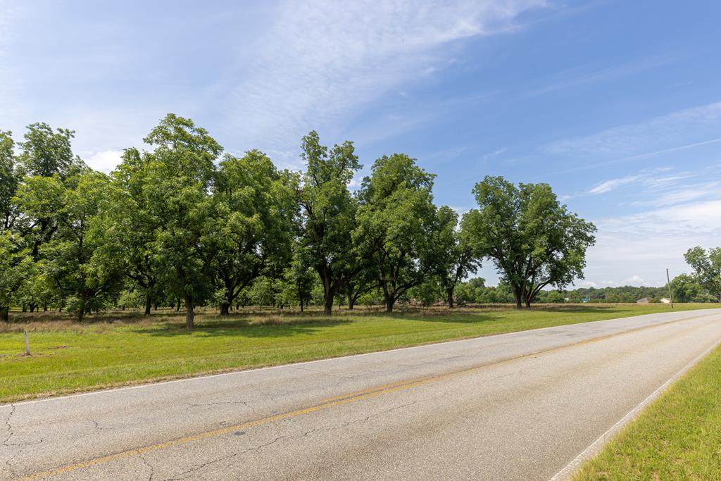 3 Forrester Pkwy - Photo 1