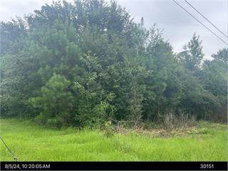 0000 Cold Springs Drive - Photo 1