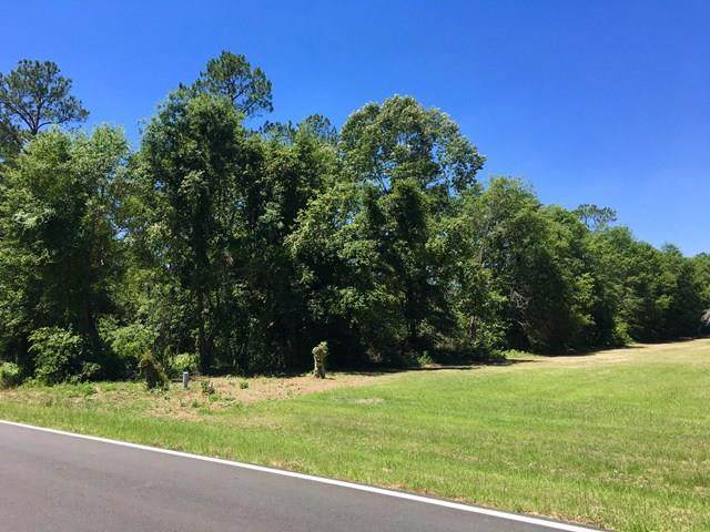 Lot 3 Sweetwater Ave - Photo 1