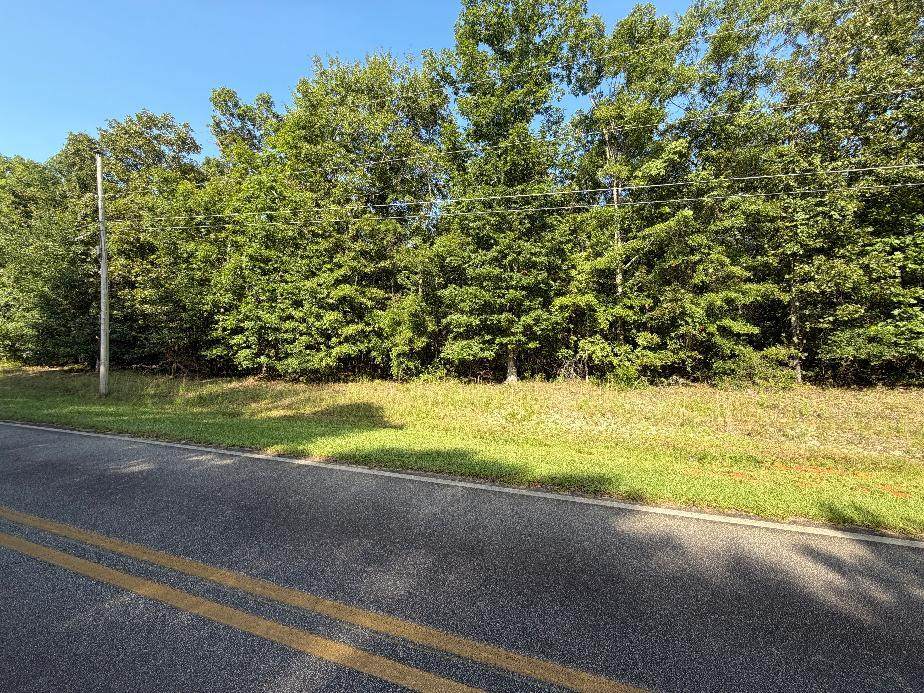 0 Rock Hill Drive - Photo 1