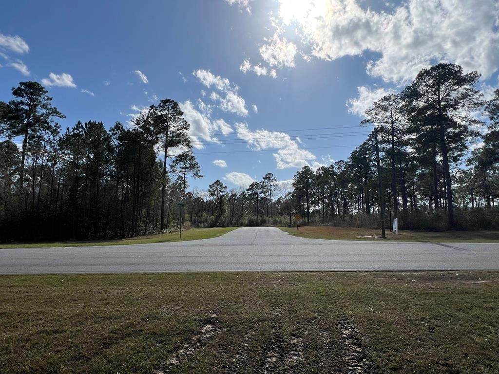 Lot 20 Woodlake Court - Photo 1