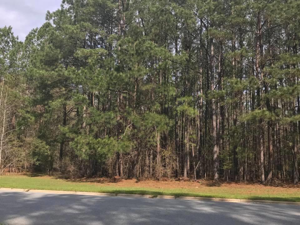 1810 River Pointe Drive - Photo 1