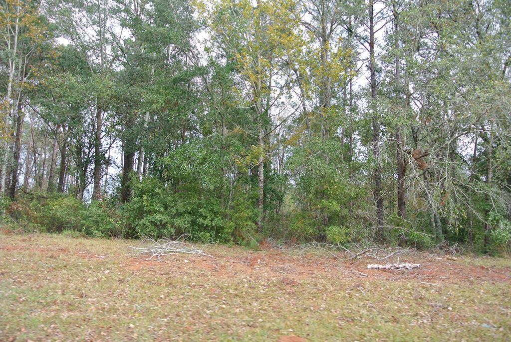 Lot 72 Grand Island Drive - Photo 1