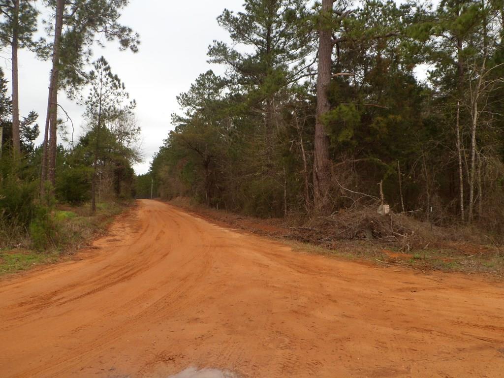 na Scott Store Road - Photo 1