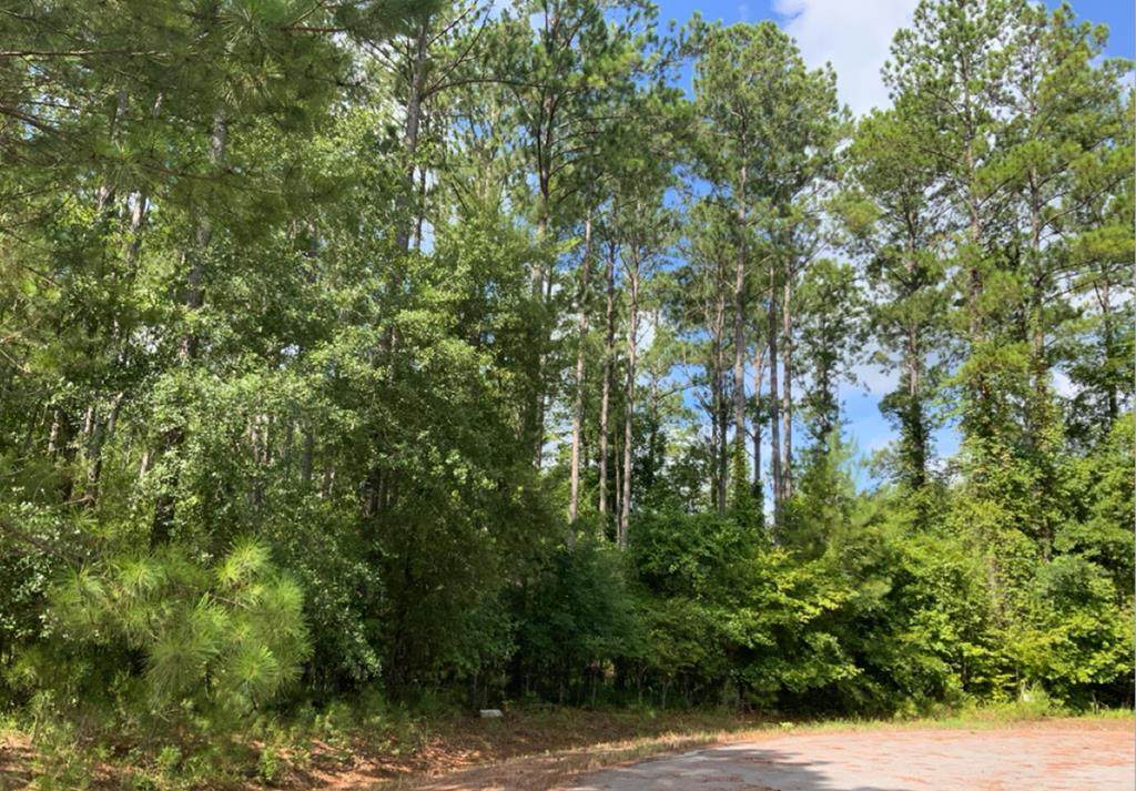 5508 Ironwood Court - Photo 1