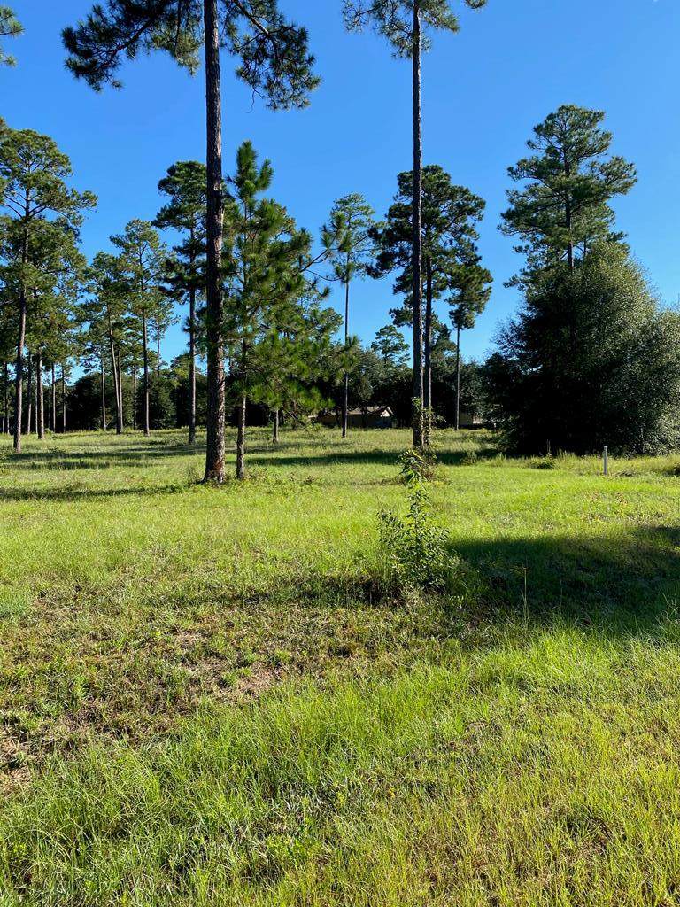 0 Swann Drive - Photo 1