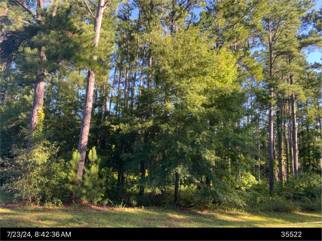 2619 Old Ivy Lane - Photo 1