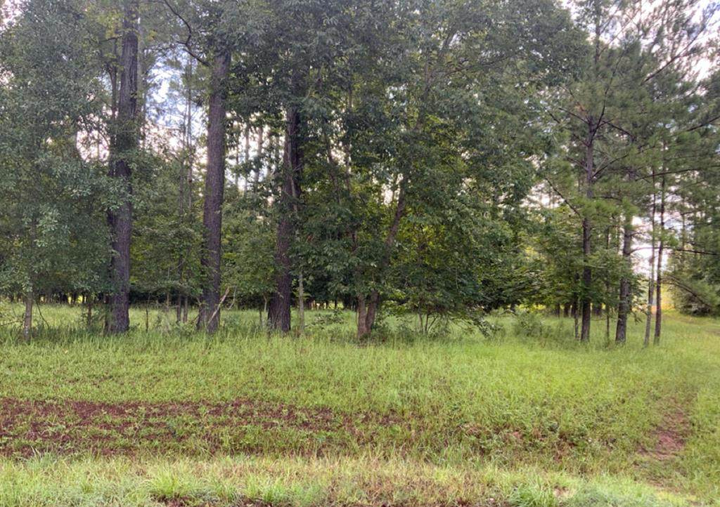 5601 Oak Borough Lane - Photo 1