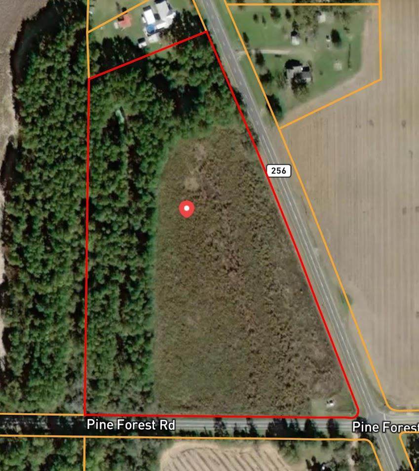 000 Ga Hwy 256 - Photo 1