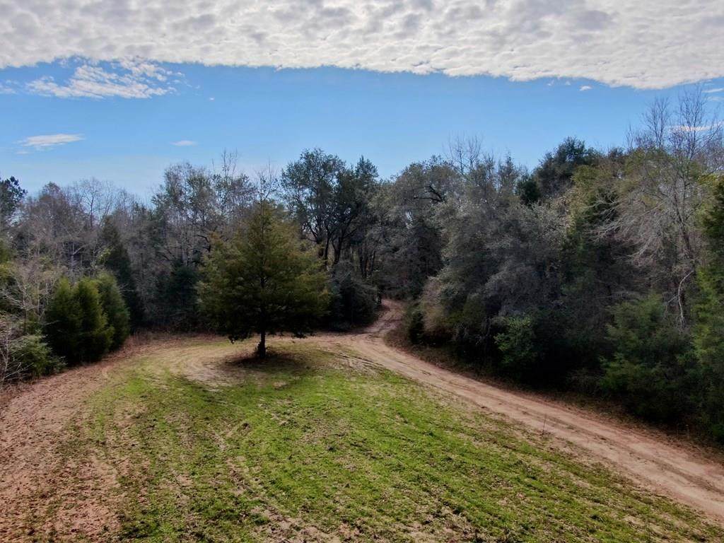 912 Holly Dr - Photo 1