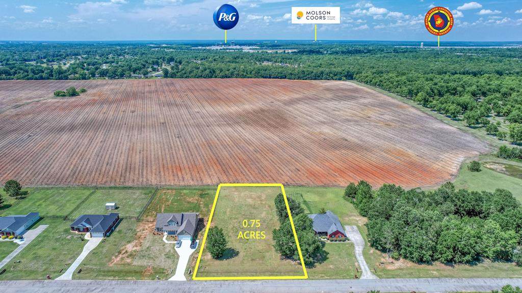 565 Nectar Lane - Photo 1