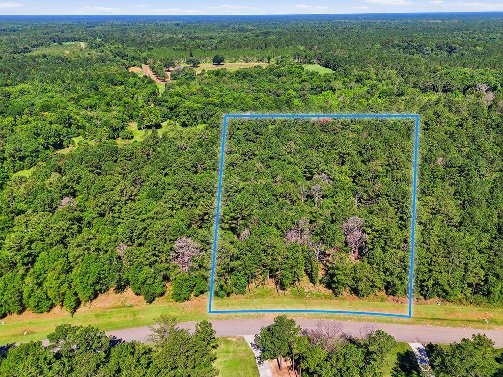 Lot 7 Hidden Lakes Drive - Photo 1