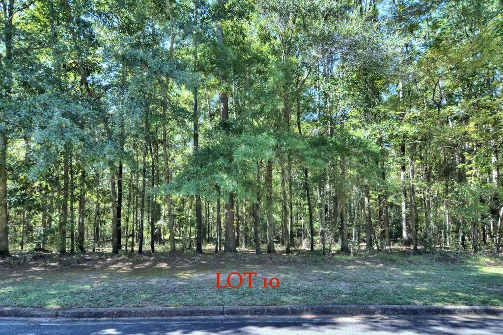 2304 Pineridge Lane - Photo 1