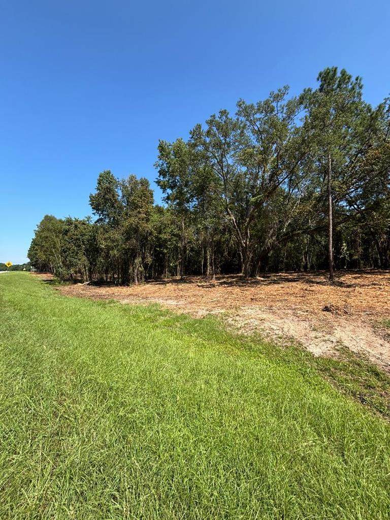 103 Graves Springs Road - Photo 1