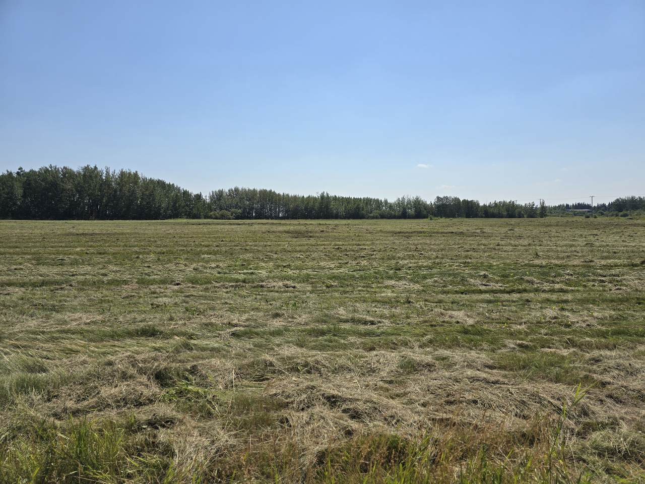 https://bt-photos.global.ssl.fastly.net/alberta/1280_boomver_1_43688719-2.jpg