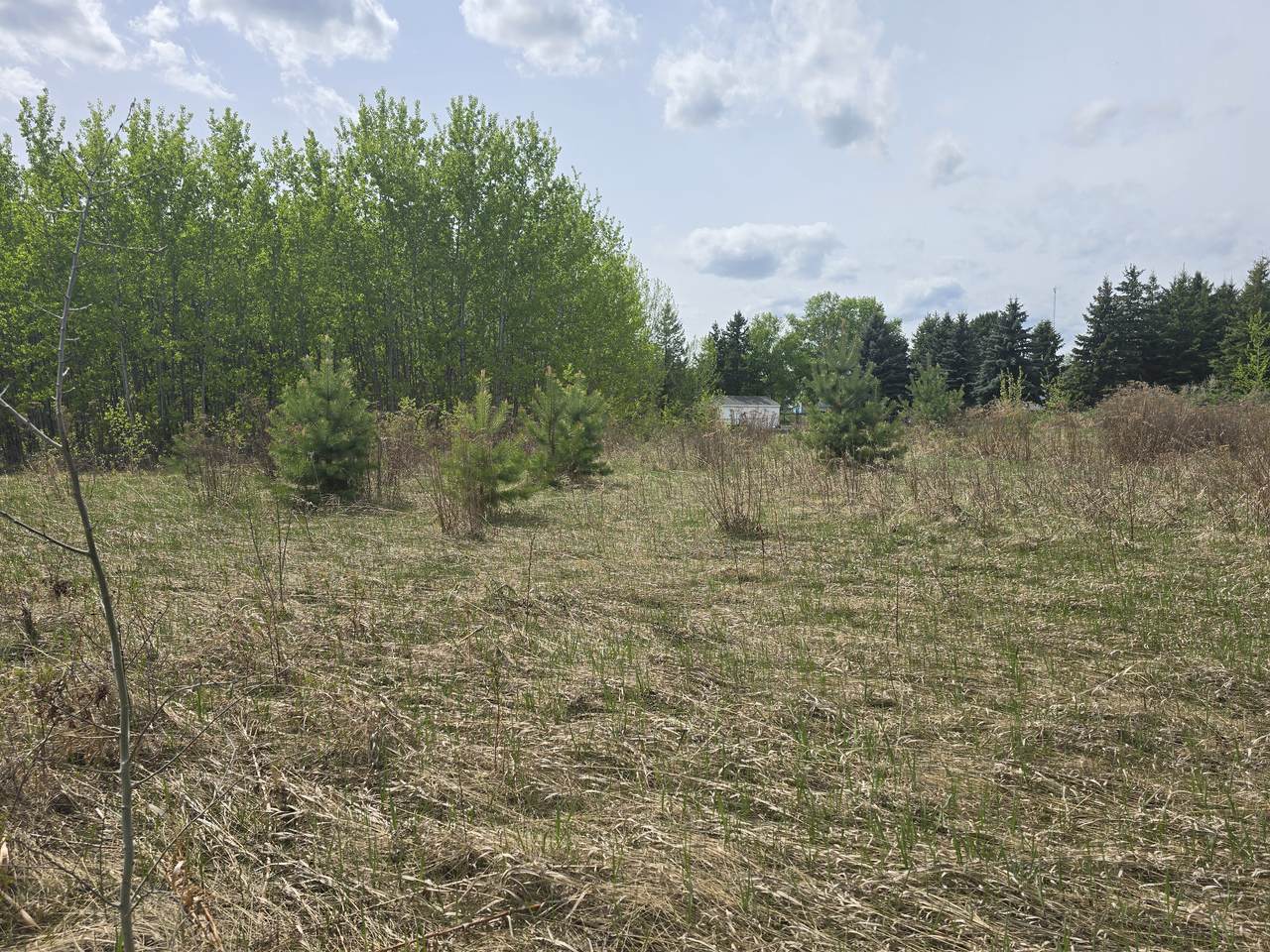https://bt-photos.global.ssl.fastly.net/alberta/1280_boomver_1_43688876-2.jpg