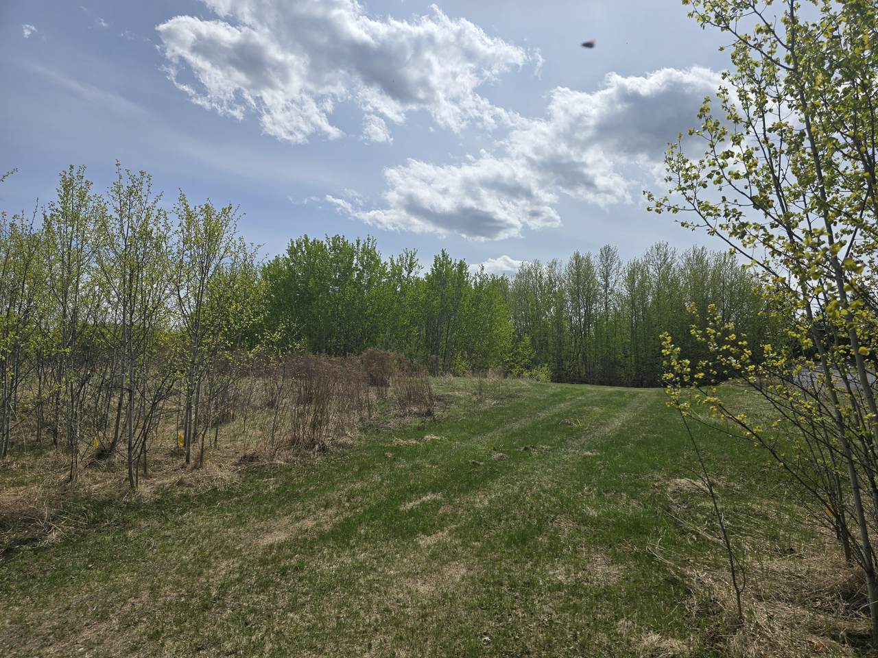 https://bt-photos.global.ssl.fastly.net/alberta/1280_boomver_1_43688876-2.jpg