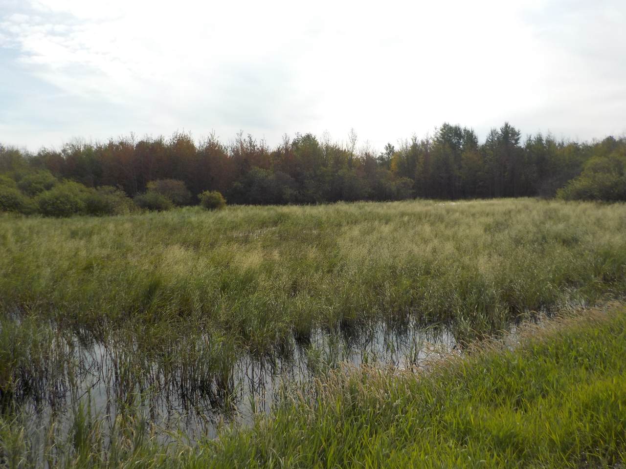  44 Street - Photo 1