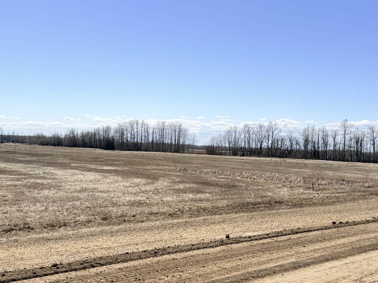 https://bt-photos.global.ssl.fastly.net/alberta/1280_boomver_1_44754750-2.jpg