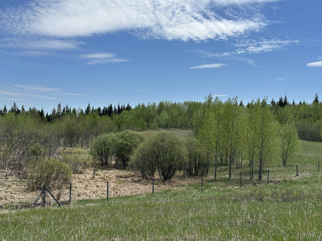 https://bt-photos.global.ssl.fastly.net/alberta/1280_boomver_1_44998482-2.jpg