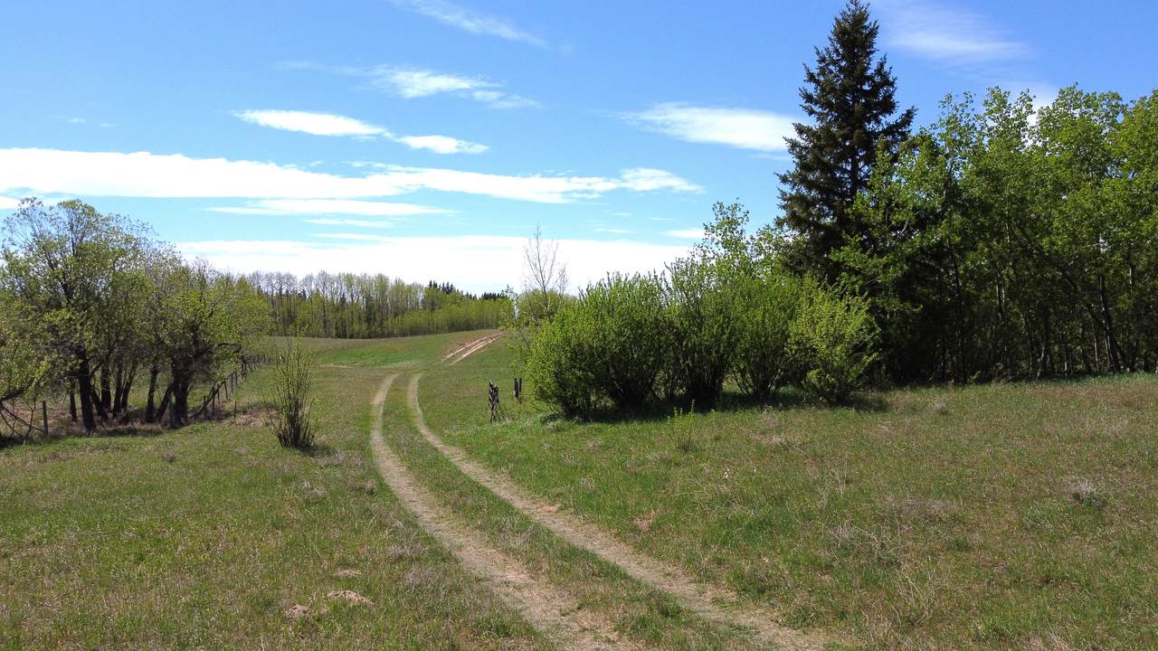 https://bt-photos.global.ssl.fastly.net/alberta/1280_boomver_1_44998482-2.jpg