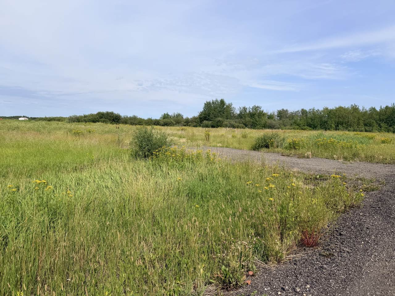  Range Rd 260 - Photo 1