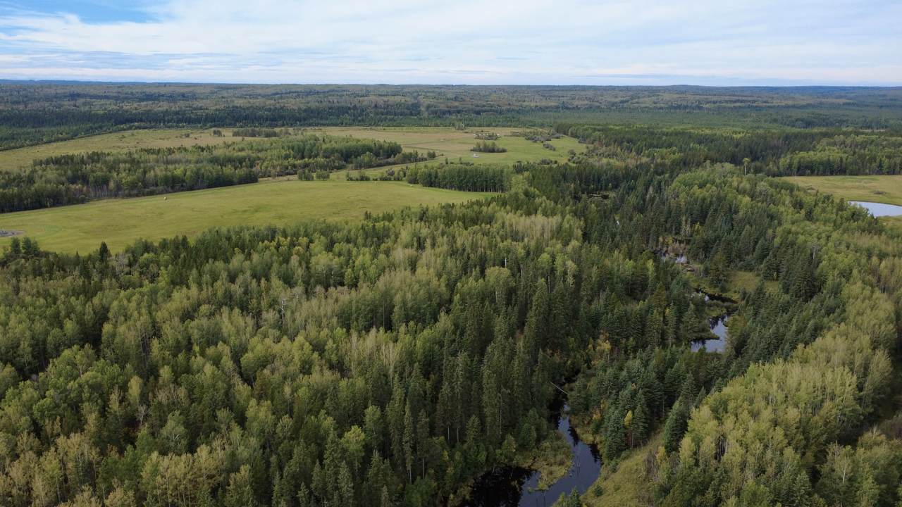 https://bt-photos.global.ssl.fastly.net/alberta/1280_boomver_1_45619597-2.jpg
