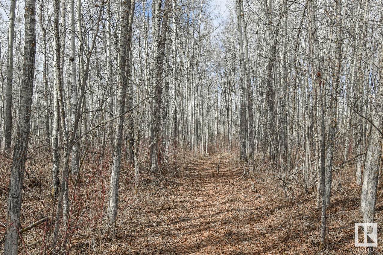 Rge Rd 43 & Lakeshore Road - Photo 1