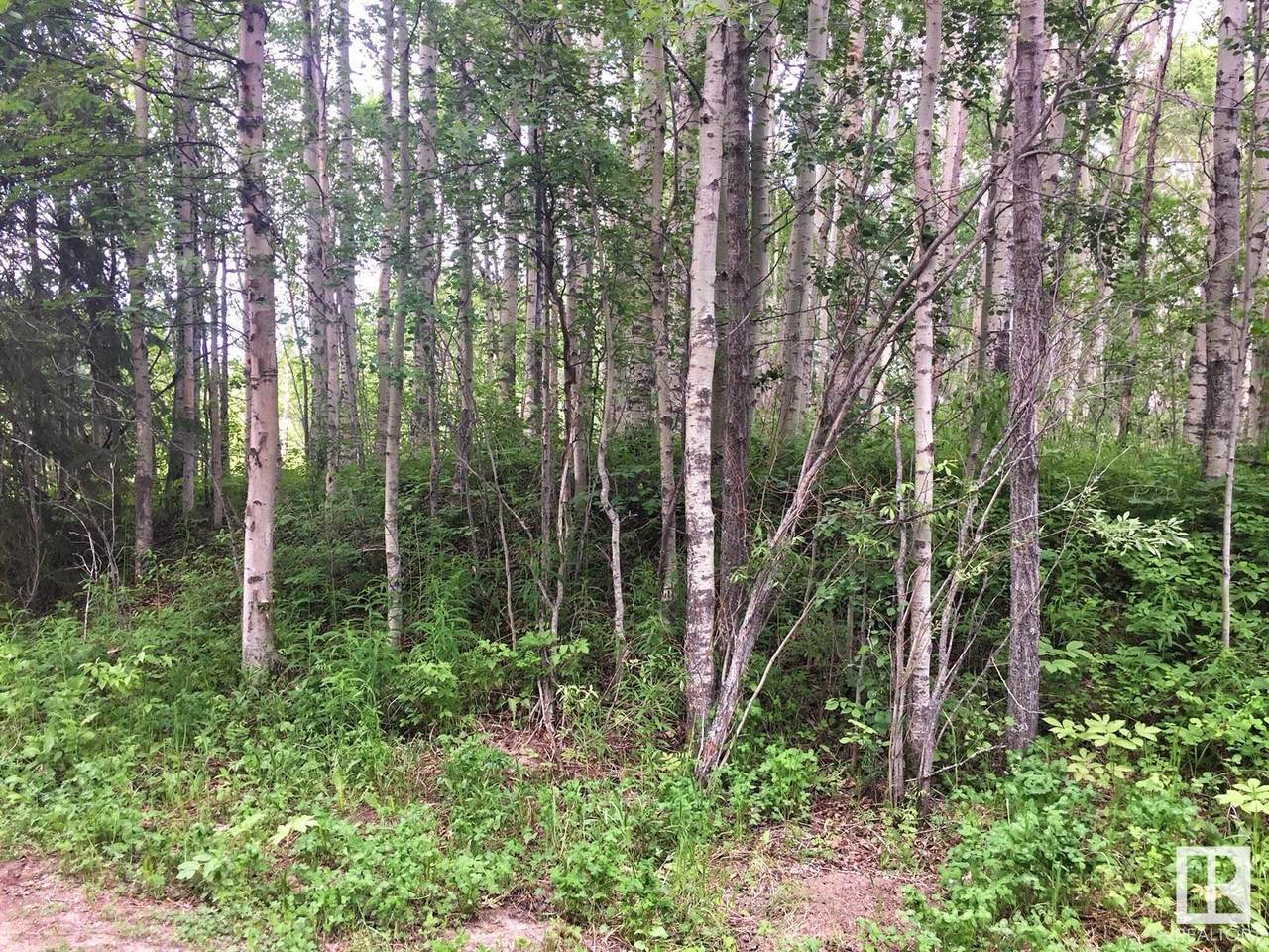 2130 2001 TWP RD 474 - Photo 1