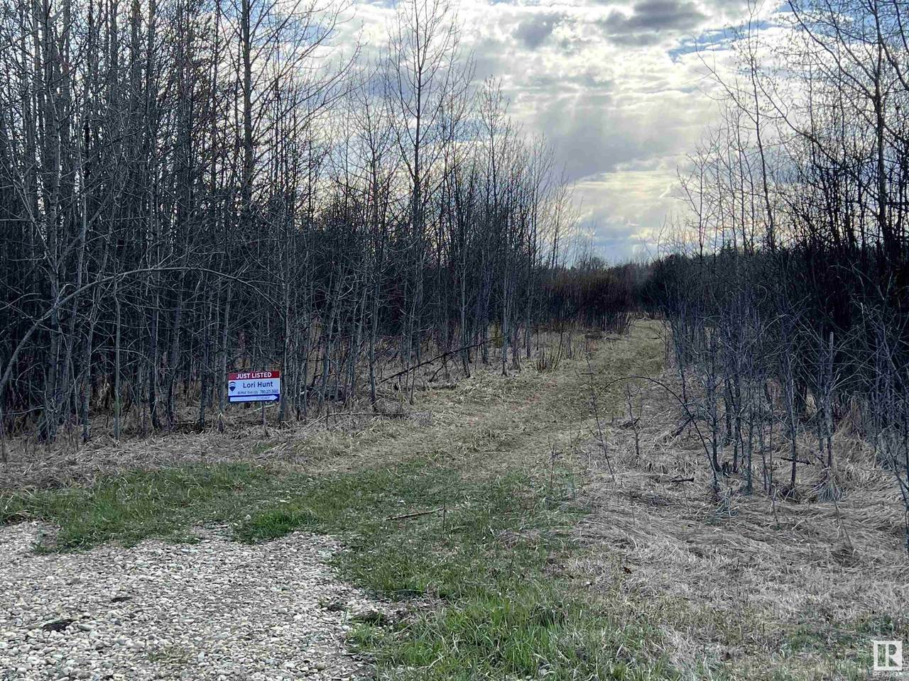 56 9002 Hwy 16 - Photo 1