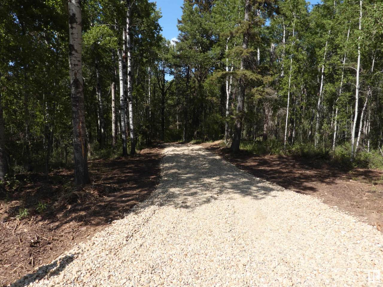 3004 Parkland Drive - Photo 1