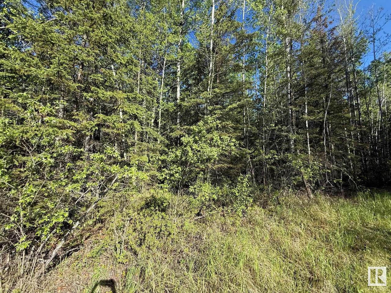 https://bt-photos.global.ssl.fastly.net/alberta/1280_boomver_2_E4438639-2.jpg