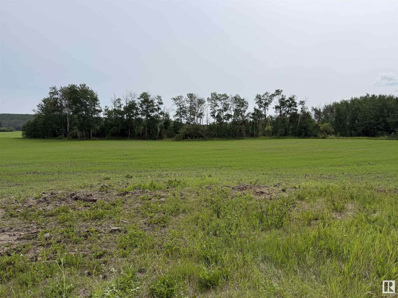 NW 16 62 1 W4 Md Of Bonnyville - Photo 1