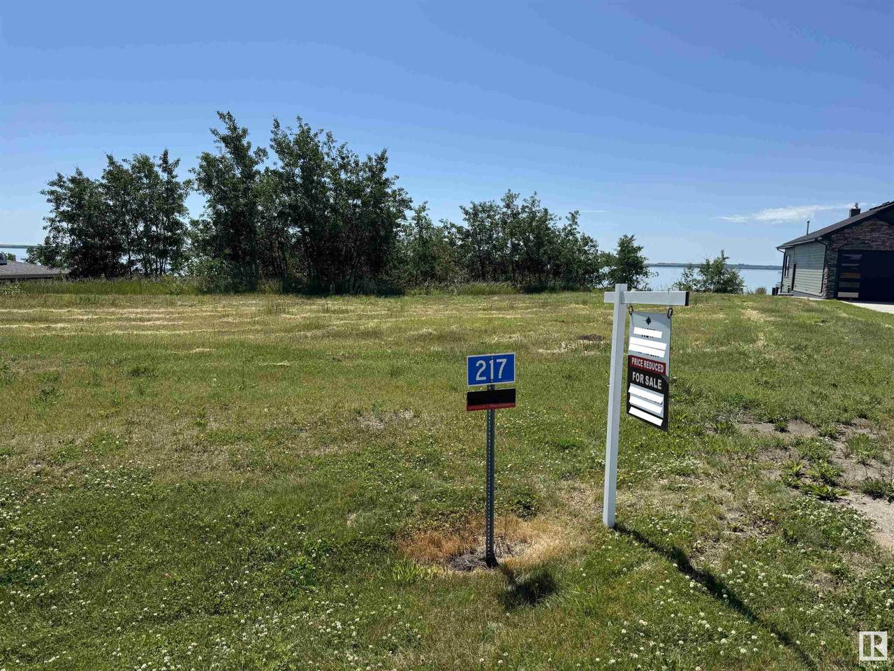 217 Lakeview Drive - Photo 1