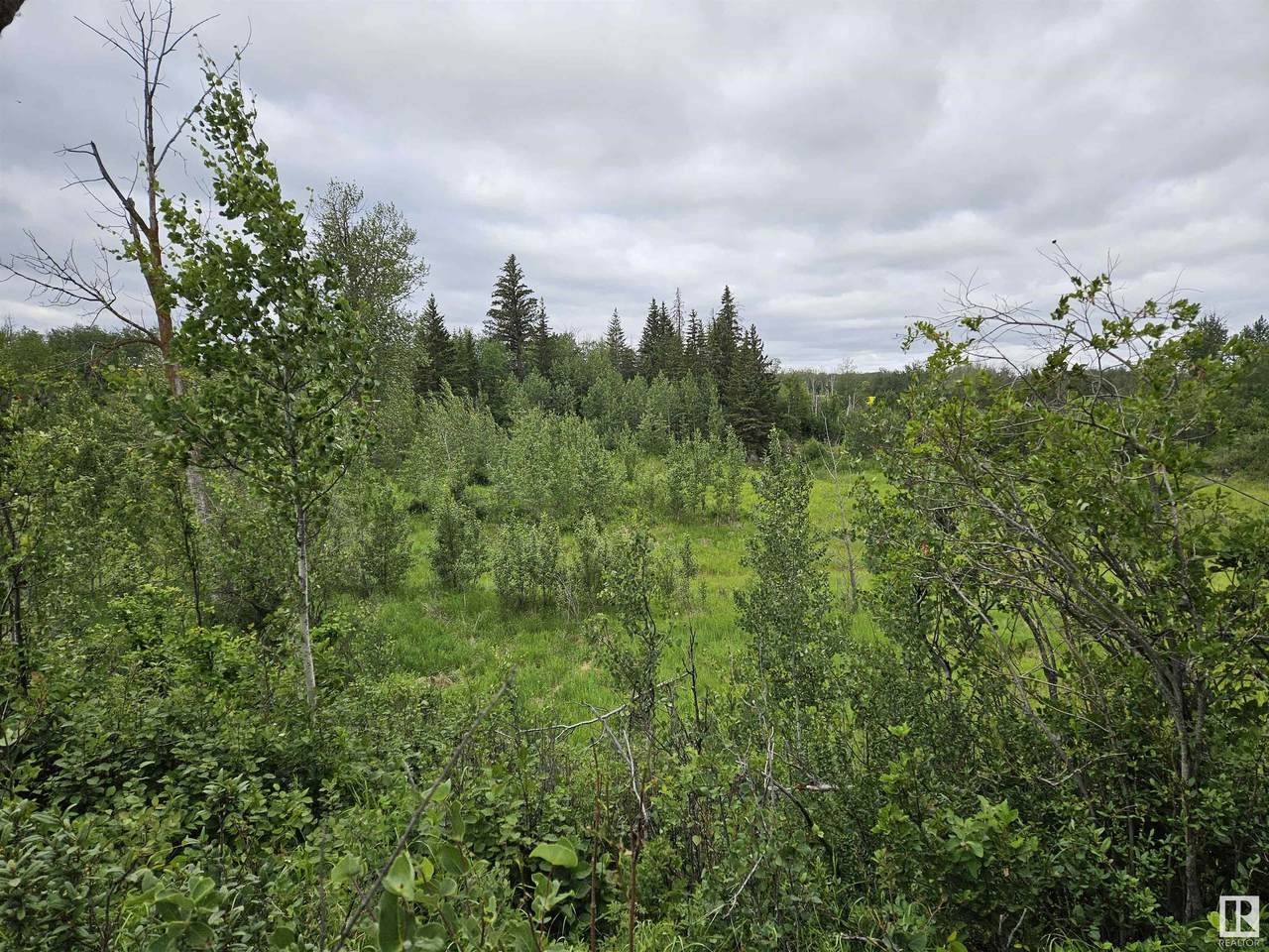 Twp Rd 533 Rr222 - Photo 1