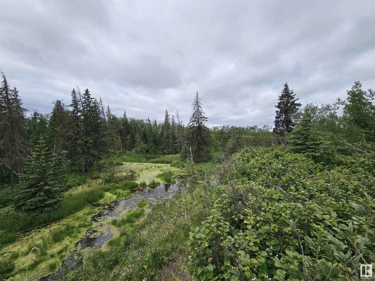 https://bt-photos.global.ssl.fastly.net/alberta/1280_boomver_1_E4447538-2.jpg